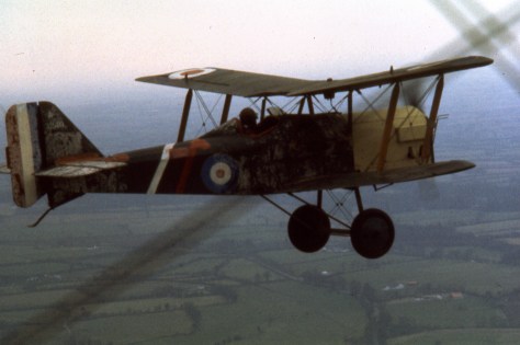 Notice the damage to the paint from the wallpaper glue peeling away in flight